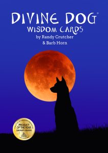 Front cover of award-winning card deck Divine Dog Wisdom Cards