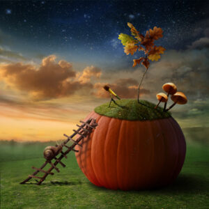 Halloween pumpkin with snail; why children's literature is important