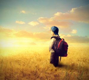 school boy exploring a golden field; wonder is the natural state of a human