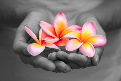 hands with frangipani; satiama customer care